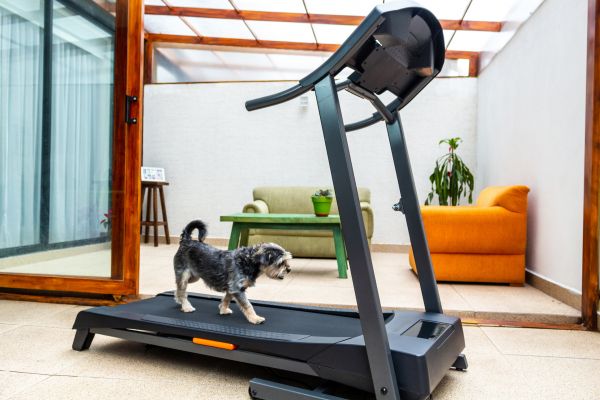 Cost of Treadmill Installation in Peachtree City