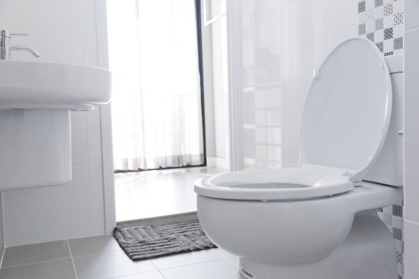 Cost of Toilet Seat Installation in Peachtree City