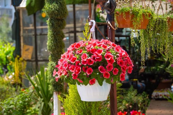 Hanging Planter Installation in Peachtree City