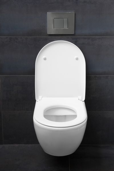 Cost of Toilet Lid Installation in Peachtree City