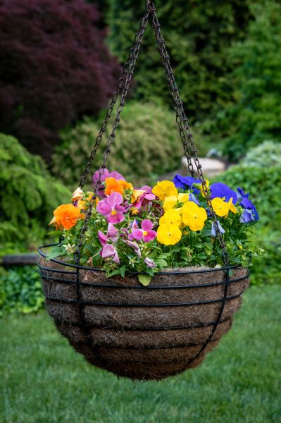 Cost of Hanging Basket Installation in Peachtree City