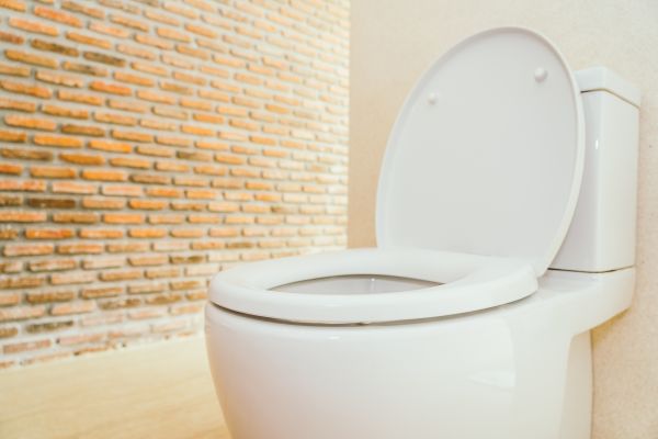 Cost of Toilet Seat Repair in Peachtree City